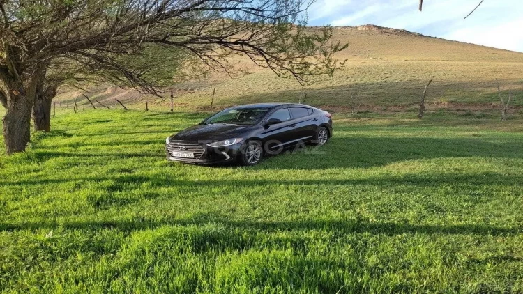 Parkda dincələn qadının FACİƏLİ ÖLÜMÜ - Maşın üstündən keçdi