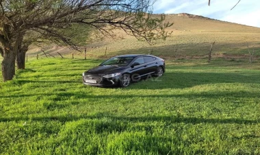 Parkda dincələn qadının FACİƏLİ ÖLÜMÜ - Maşın üstündən keçdi