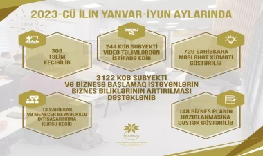 300-dən çox təlim, 700-dən artıq məsləhət xidməti, 150-yə yaxın biznes planın hazırlanmasına dəstək - KOBİA