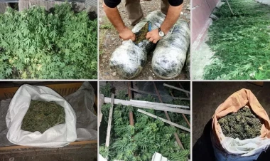 Narkotik, hədə-qorxu ilə pul tələb etmə və adam oğurluğu... - 44 nəfər saxlanılıb - FOTO