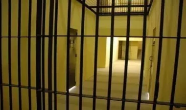 Qəddafinin oğlu bu şərtlə azadlığa çıxdı