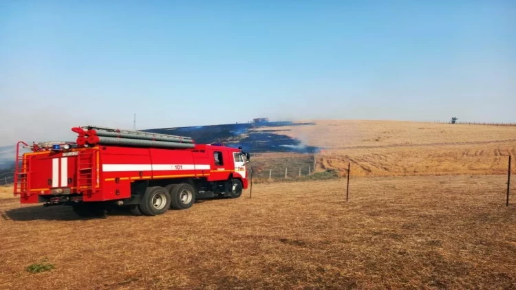 Cəlilabadda taxıl sahələri yanıb - FOTO