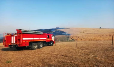 Cəlilabadda taxıl sahələri yanıb - FOTO