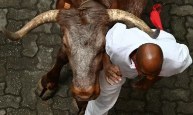 İspaniyada ilin ilk ensyerrosundan maraqlı görüntülər - FOTO