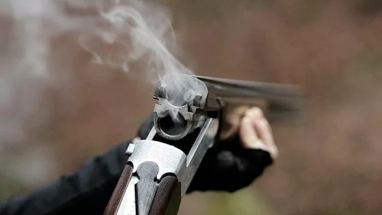 Şəmkirdə həyat yoldaşına odlu silahla xəsarət yetirən şəxs saxlanılıb - YENİLƏNİB