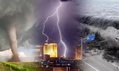 Dünya üçün yeni fəlakət proqnozu