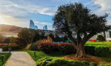 Bakıda 37, bölgələrdə 39 dərəcə isti olacaq - PROQNOZ