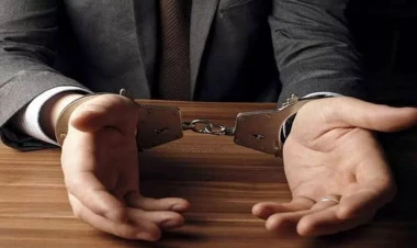 Dövlət Xidmətinin daha 2 əməkdaşı həbs edildi