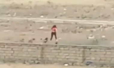 Masazırda küçə itləri qıza hücum etdi - VİDEO