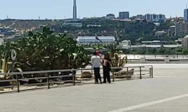 Bulvarda yenə də kaktuslara zərər vururlar - Trend-in çəkiliş qrupu hadisəyə müdaxilə edib - VİDEO