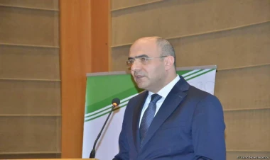 Qanuna dəyişikliklər edilərsə dərman vasitələrinin çeşidi artacaq - Rasim İsmayılov