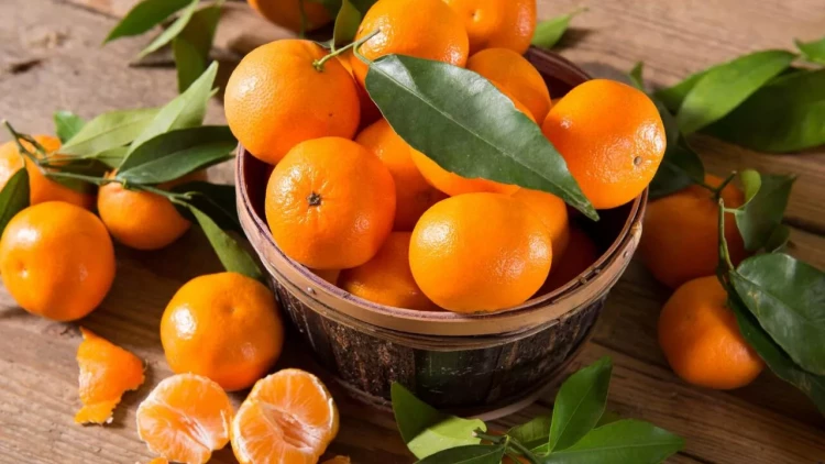 Gündə 2 ədəd mandarinin sağlamlığa faydaları