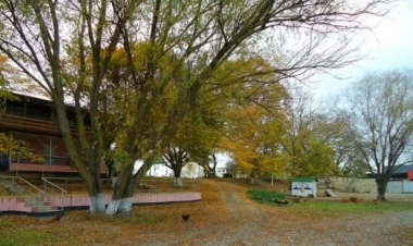 İstirahət mərkəzində BƏDBƏXT HADİSƏ - Qadın öldü