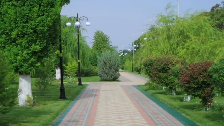 İnsanın bioloji yaşlanmasını ləngidən VACİB MƏQAM