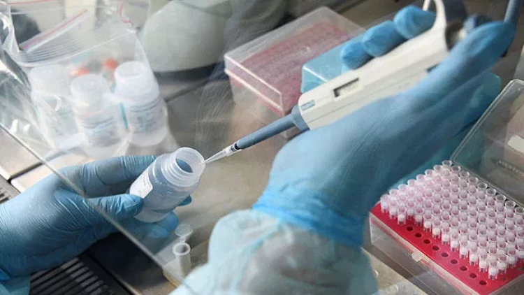 Mədəaltı vəzi xərçənginə qarşı yeni dərmanlar tapıldı