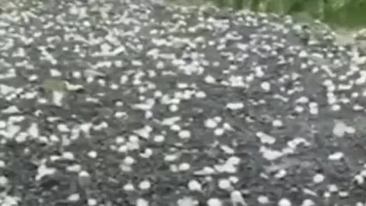 Kəlbəcərə də dolu düşdü - VİDEO