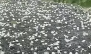 Kəlbəcərə də dolu düşdü - VİDEO