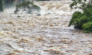 4 qadın xilas edilib