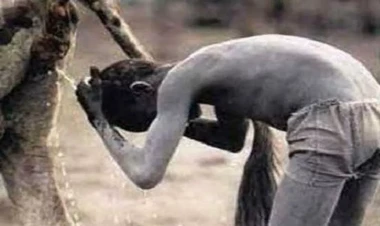 Bu insanları İLK DƏFƏ GÖRƏCƏKSİNİZ: inək nəcisi yeyərək böyüyürlər, yumurtalıqları isə nəhəng ölçüdədir - VİDEO - FOTO