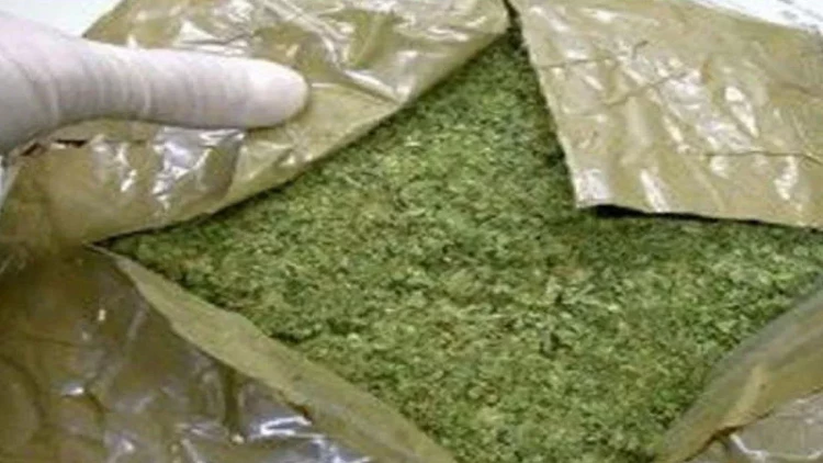 Dünyada narkomanların sayı 296 milyona çatıb