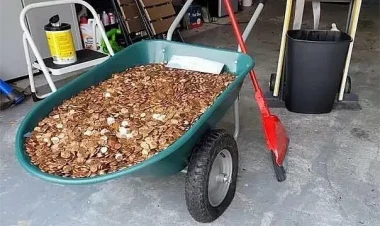 Müdir işçisinin pulunu qəpiklə verdi - Özü də maşın yağına batırıb sonra...