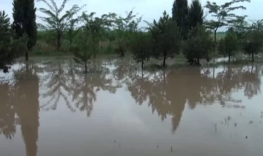 Sel bölgələrə ağır fəsadlar verməkdə davam edir... - VİDEO