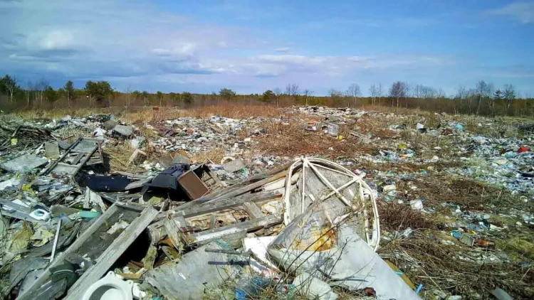 Daha 2 meyit tapıldı - bu dəfə zibillikdən - FOTO