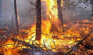 Meşə yanğını başladı, 4 helikopter ərazidədir