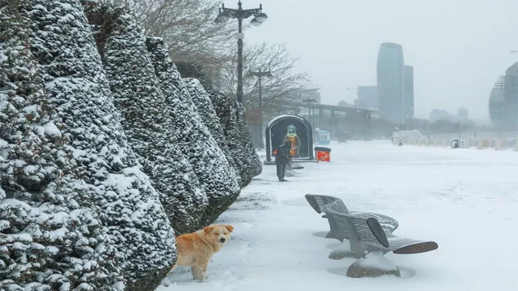 Bu il Bakıya qar yağacaq?