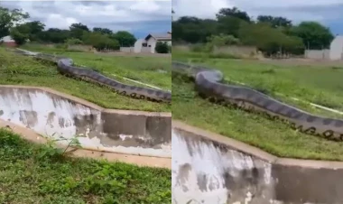 Qorxulu filmlərdəki səhnə real oldu - VİDEO