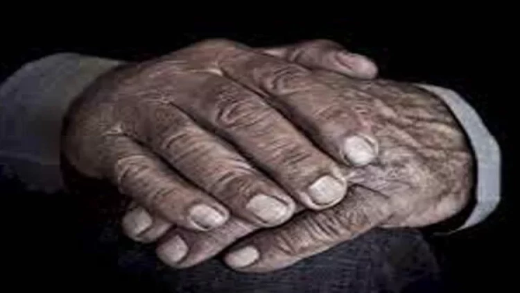 Qocalmanı necə dayandırmaq və ömrü necə uzatmaq olar? – ARAŞDIRMA