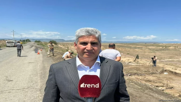 Ermənilərin qətlə yetirdiyi 400-dən artıq azərbaycanlının meyit qalıqları aşkarlanıb - Eldar Səmədov