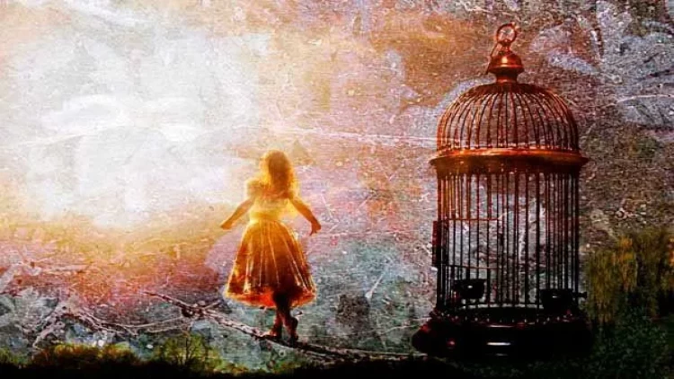 Yuxu haqqında bilmədiklərimiz - Maraqlı faktlar