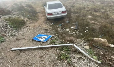 Avtomobil qoyun sürüsünə çırpıldı, Onlarla heyvan tələf oldu - FOTO