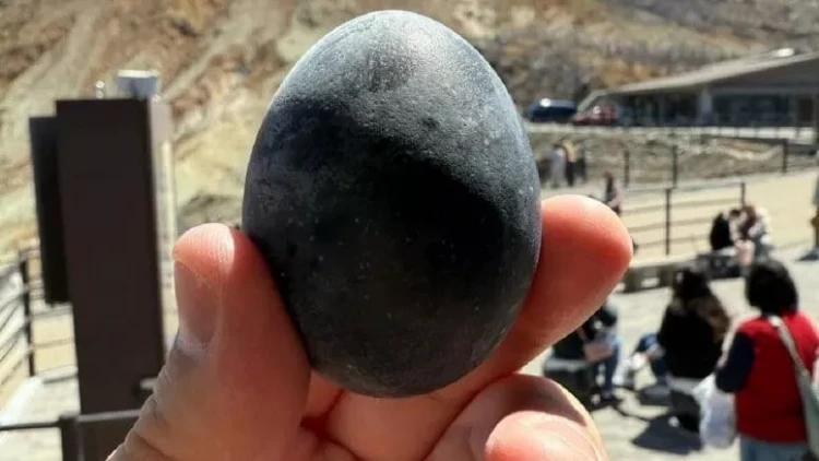 Kömür kimi qara yumurtalar qızıldan da dəyərlidir: 195 manata satılır - FOTO