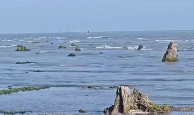 Azərbaycanda dəniz geri çəkildi, meşə zolağı ortaya çıxdı - FOTO