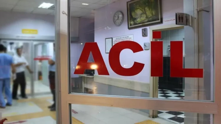 Türkiyədə 50-dən çox insan qidadan zəhərləndi