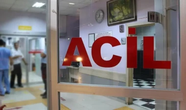 Türkiyədə 50-dən çox insan qidadan zəhərləndi