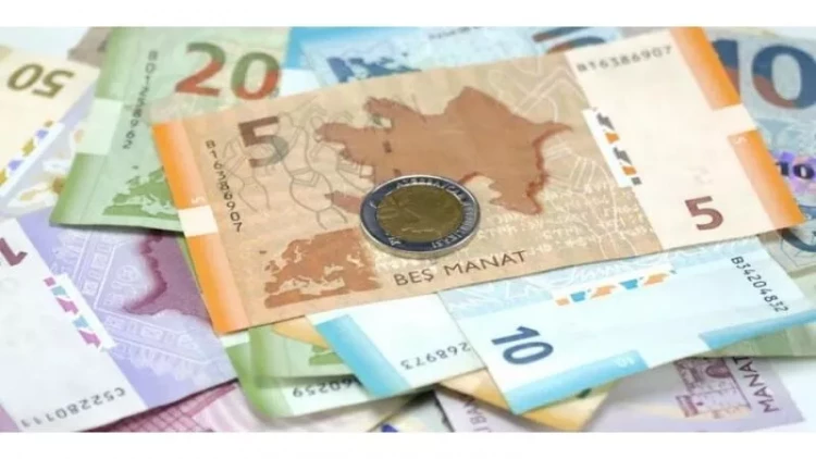 İşsizlərin tibbi sığortaya 16 manat ödəməsi məcburi deyil