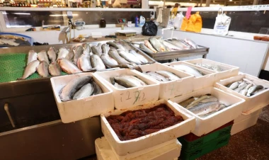 “Nəzrin-E” MMC-də ciddi nöqsanlar aşkarlanıb