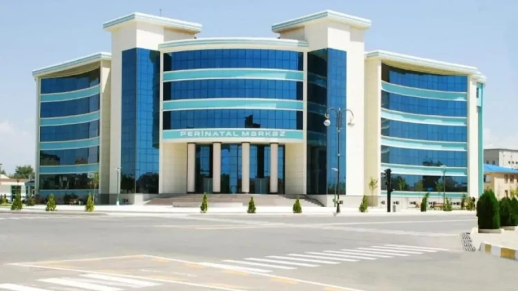 Naxçıvan Perinatal Mərkəzinin direktoru işdən çıxarıldı