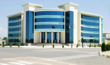 Naxçıvan Perinatal Mərkəzinin direktoru işdən çıxarıldı