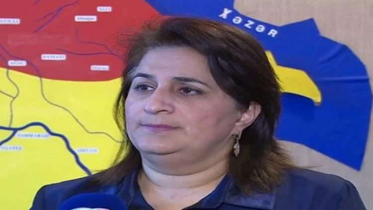 Hava nə vaxtadək belə mülayim keçəcək? - Gülşad Məmmədovadan açıqlama