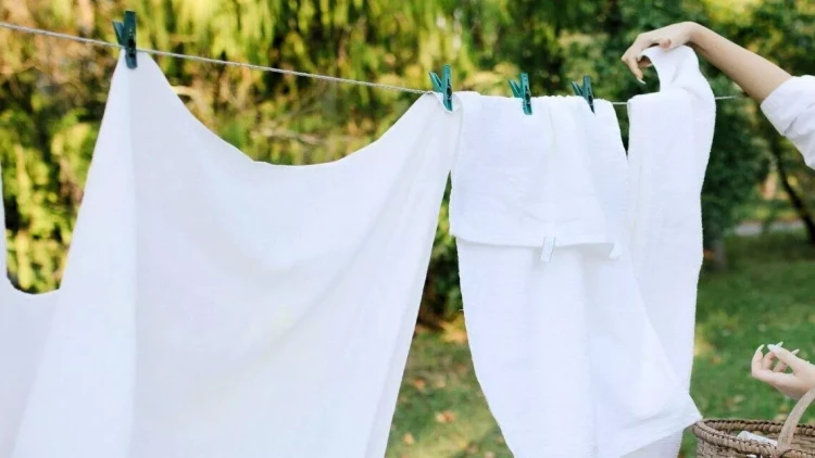 Paltaryuyana 2 tablet əlavə edin: Ağlar yeni kimi olacaq