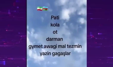 Əcnəbilər sosial şəbəkələrdə narkotik satışı ilə “at oynadırlar” - VİDEO