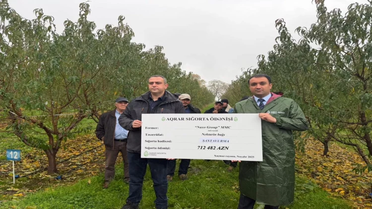 Azərbaycanda meyvə bağları üzrə ən böyük aqrar sığorta ödənişi edilib - FOTO