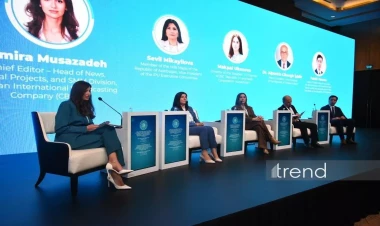 TDT-nin Media Forumu çərçivəsində üzv dövlətlərin qarşılıqlı əməkdaşlıq imkanlarına həsr olunan panel sessiya keçirilib - FOTO