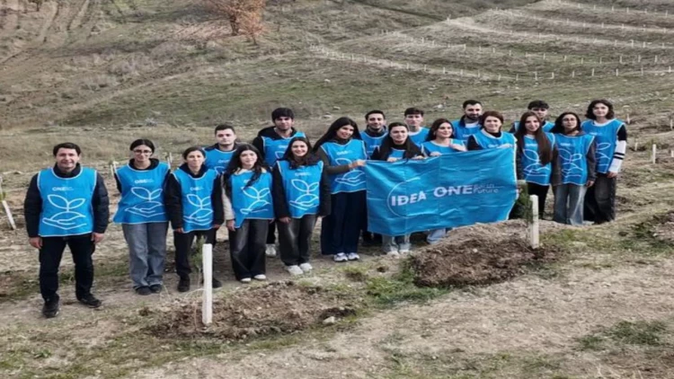 “Yaşıl Marafon” kütləvi ağacəkmə kampaniyası davam edir - FOTO