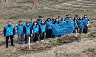 “Yaşıl Marafon” kütləvi ağacəkmə kampaniyası davam edir - FOTO