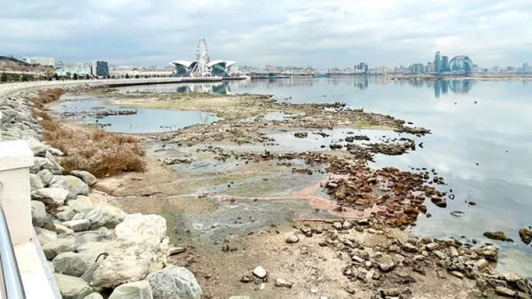 Xəzərin geri çəkilməsi hər sahəyə təsir etdi - Ekoloji təhlükə yaxınlaşır?